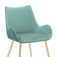 Load image into Gallery viewer, ZWYO HOSIMU Dining Room Chair with Gold Legs - Set of 2