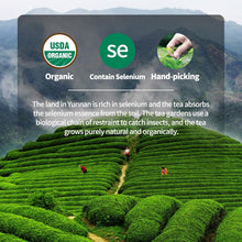 Load image into Gallery viewer, Thryzlemp Organic Ripe Pu erh Tea Cake,3.53 Oz USDA Certified Aged Fermented Pu-Erh Tea Cake, Chiese Tea Fermented Traditional Craft, Woody Aroma, No Fishy
